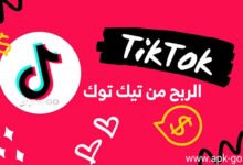 10 طرق الربح من تيك توك