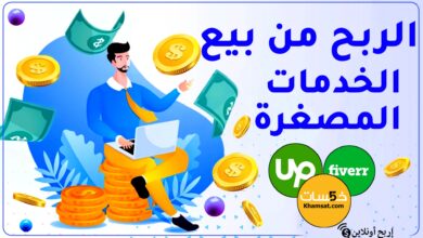 الربح من بيع الخدمات المصغرة