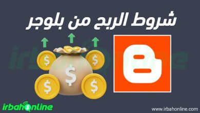 شروط الربح من بلوجر