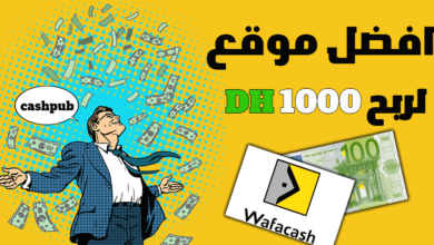 1737051526 كيف تربح 100 كل أسبوع من موقع Cashpub
