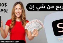 الربح من شي إن