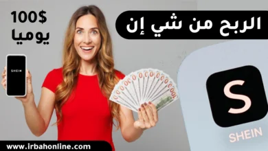 الربح من شي إن